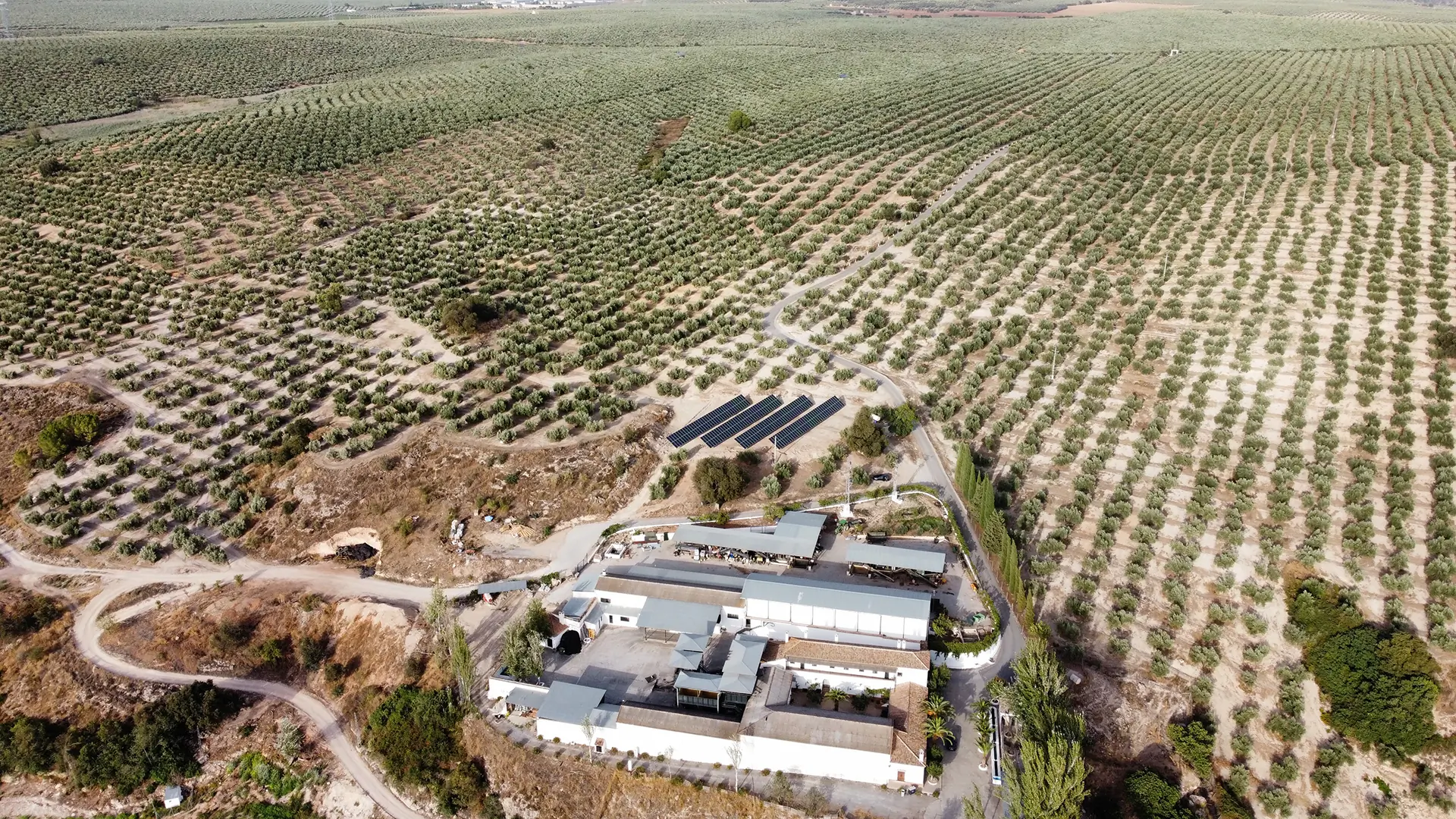 Sector Agro